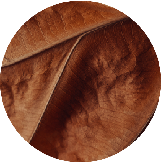 VEEV ONE Classic Tobacco e-liquid pod